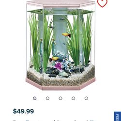 Rose Gold Serenity Vivid View 360 Aquarium 3-Gallon