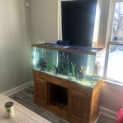 80 Gallon Tank An Stand Everything Included 