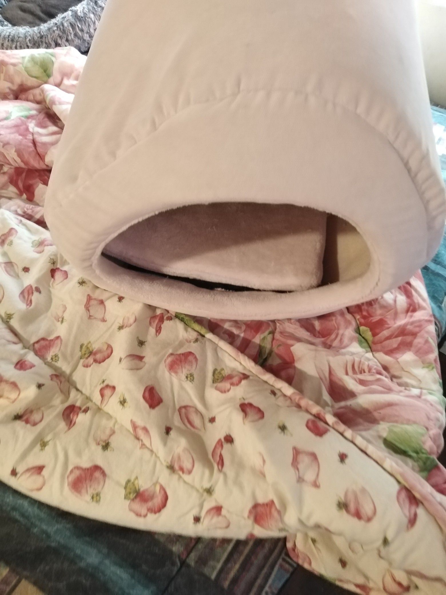 Cat/dog igloo bed