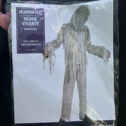 Mummy costume 