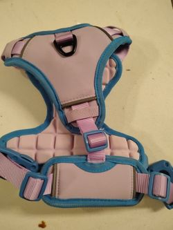 Small harness for dog