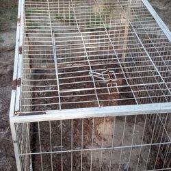 Dog run