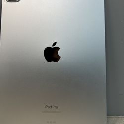 iPad Pro 11” 4th Gen Wifi 128 Gb 