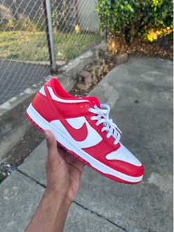 Nike Dunk Low SP Size 14