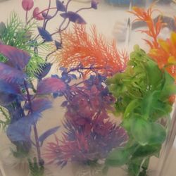 Aquarium Tank And Accessories Rocks