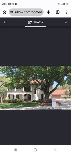 Tree trimming service @lowest prices