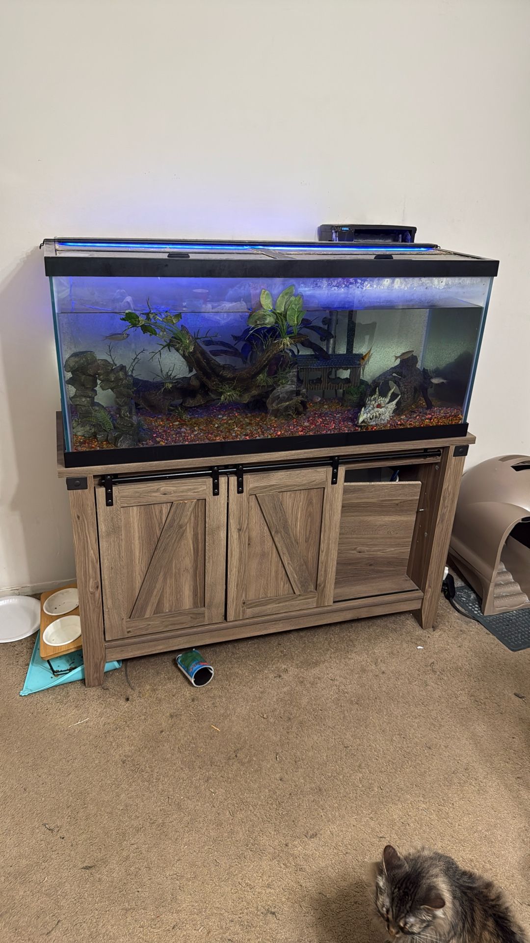 75 Gallon Fish Tank