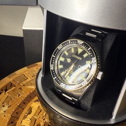 Citizen pro master watch