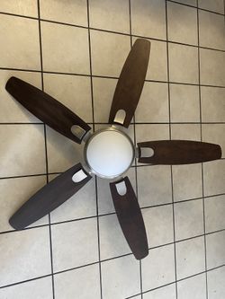 Ceiling Fan Hunter