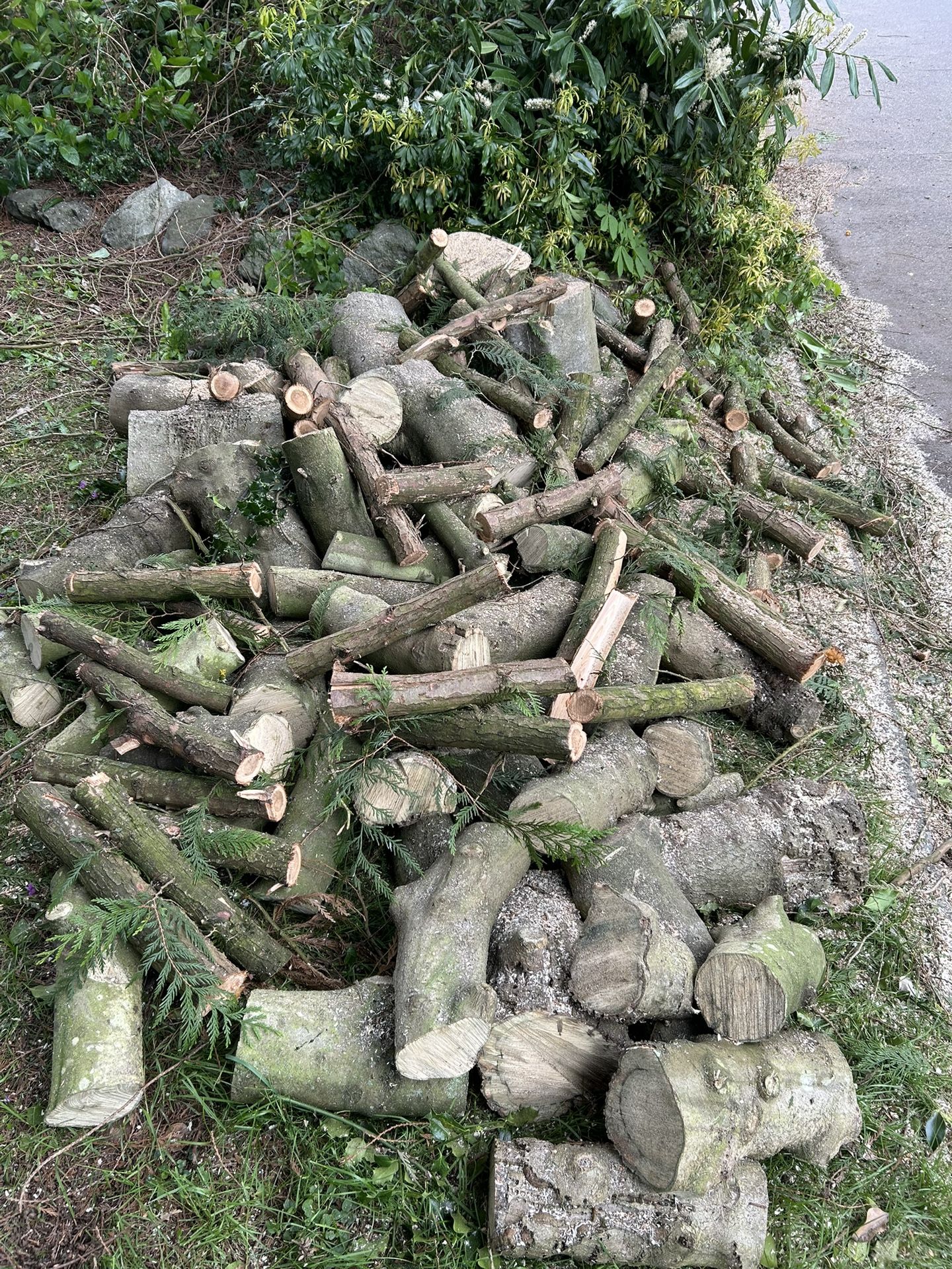 Wood