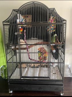 XL Parrot Cage