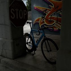 Throne Fixie Bike Frame‼️Read Description‼️