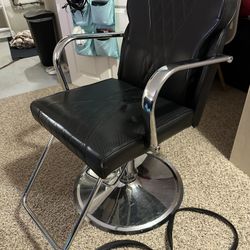 Salon Chair