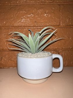 Faux Succulent in Ceramic Mug Planter