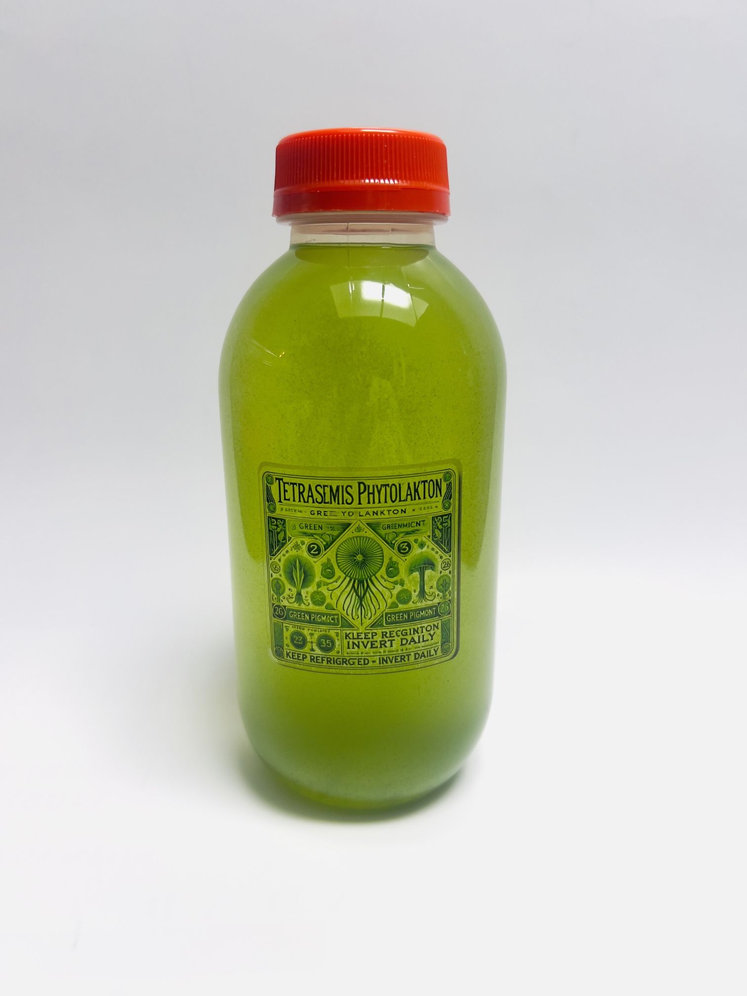 Phytoplankton Tetraselmis