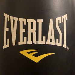 Everlast Punching Bag and Stand (used)