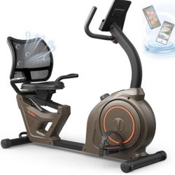 New Recumbent Bike 400 lb capacity $500