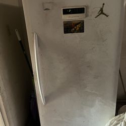 Large Freezer/Twin Trundle Bed/Aquarium