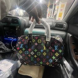 louis vuitton purse