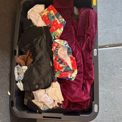 Bags of Clothes (excellent) $25 each bag