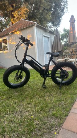 Class 2 Pedego Element 