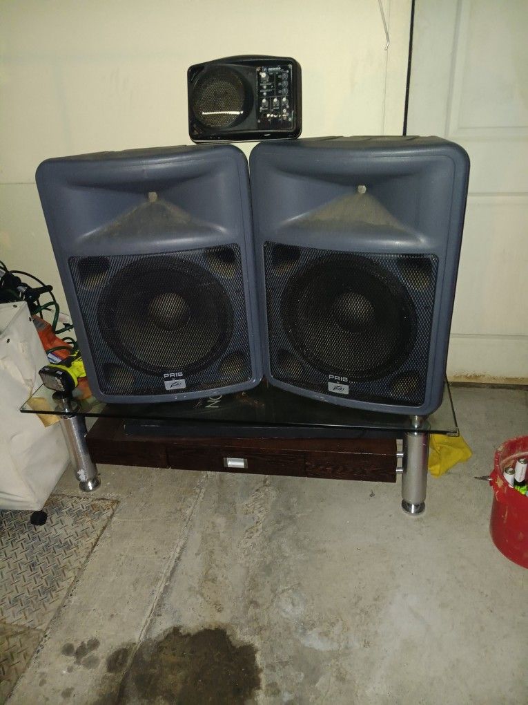 Pevey PR 15 Loudspeaker For P.A. Systems