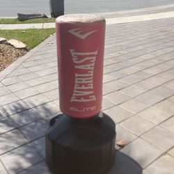 Everlast Punching/ Kicking Target Has Some Mold On The Top 