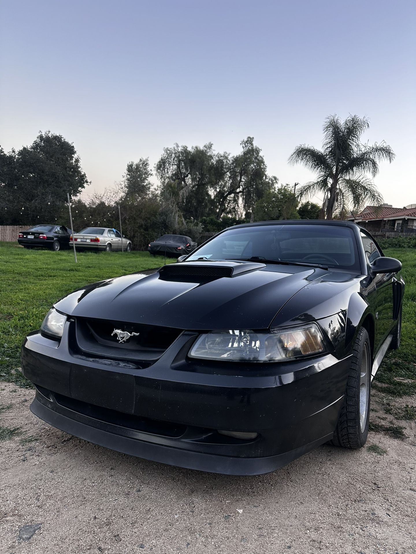 Inspiring 2000 Mustang Gt 4 6 Gallery