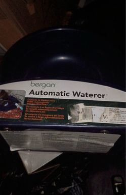 Automatic dog water