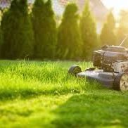 Lawn Car3