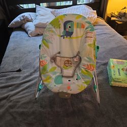 Baby Bouncer