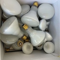 Light Bulbs