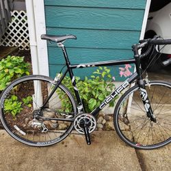 Gary Fisher Rail Bike