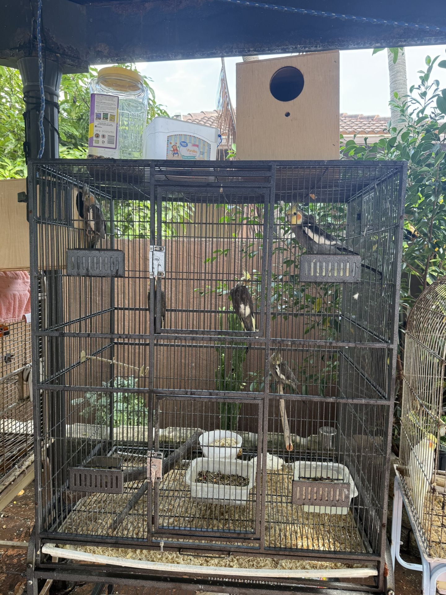 Bird Cage