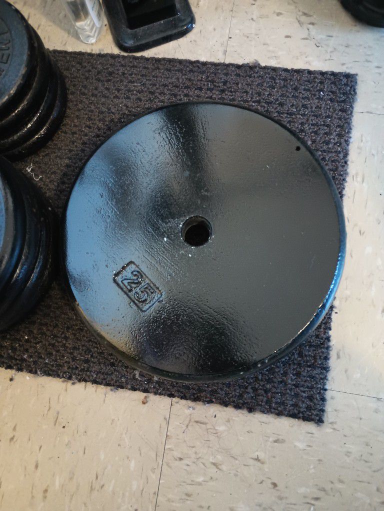 (2)25lb Weights 