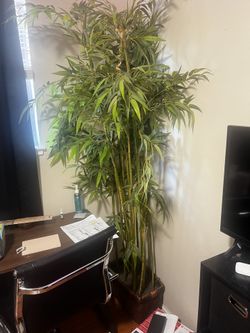7ft Bamboo Tree