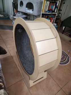 Cat treadmill