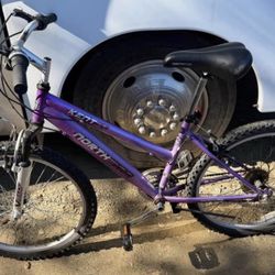 Huffy Womens 24 in Mountain Bike - Purple