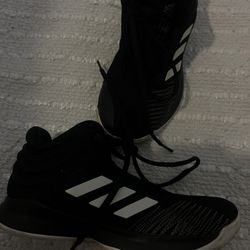 Adidas Shoes 
