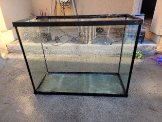 37 Gallon Tank With Filters And Accessories