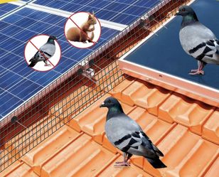 Rodent Guard Installation’s