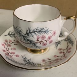 Vintage Colclough Cup & Saucer 