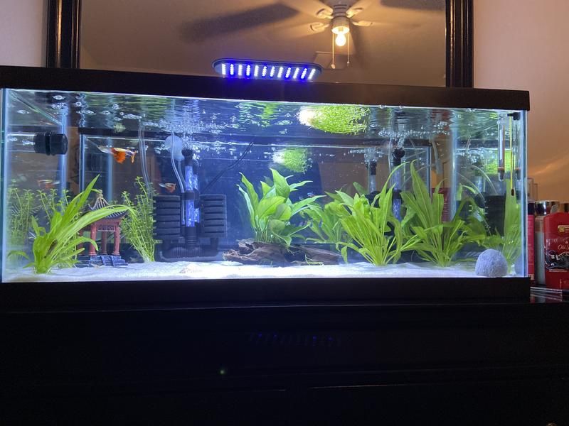 25 Gallon fish tank