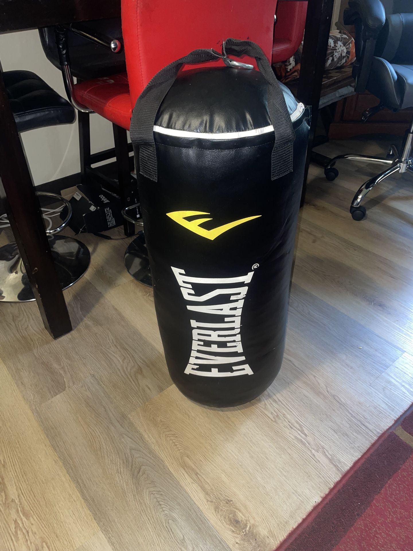 Everlast Punching Bag