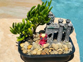 Gollum Jade Succulent with Miniature Castle and Toy Figure