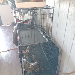 Cages And Stroller For Sale.