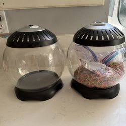 Two Fish Bowl Tanks