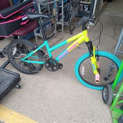 7-speed Girls Nishiki Bike 20 In