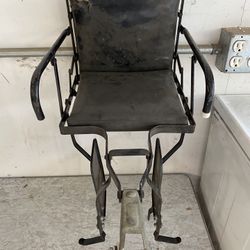 Schwann Child Seat