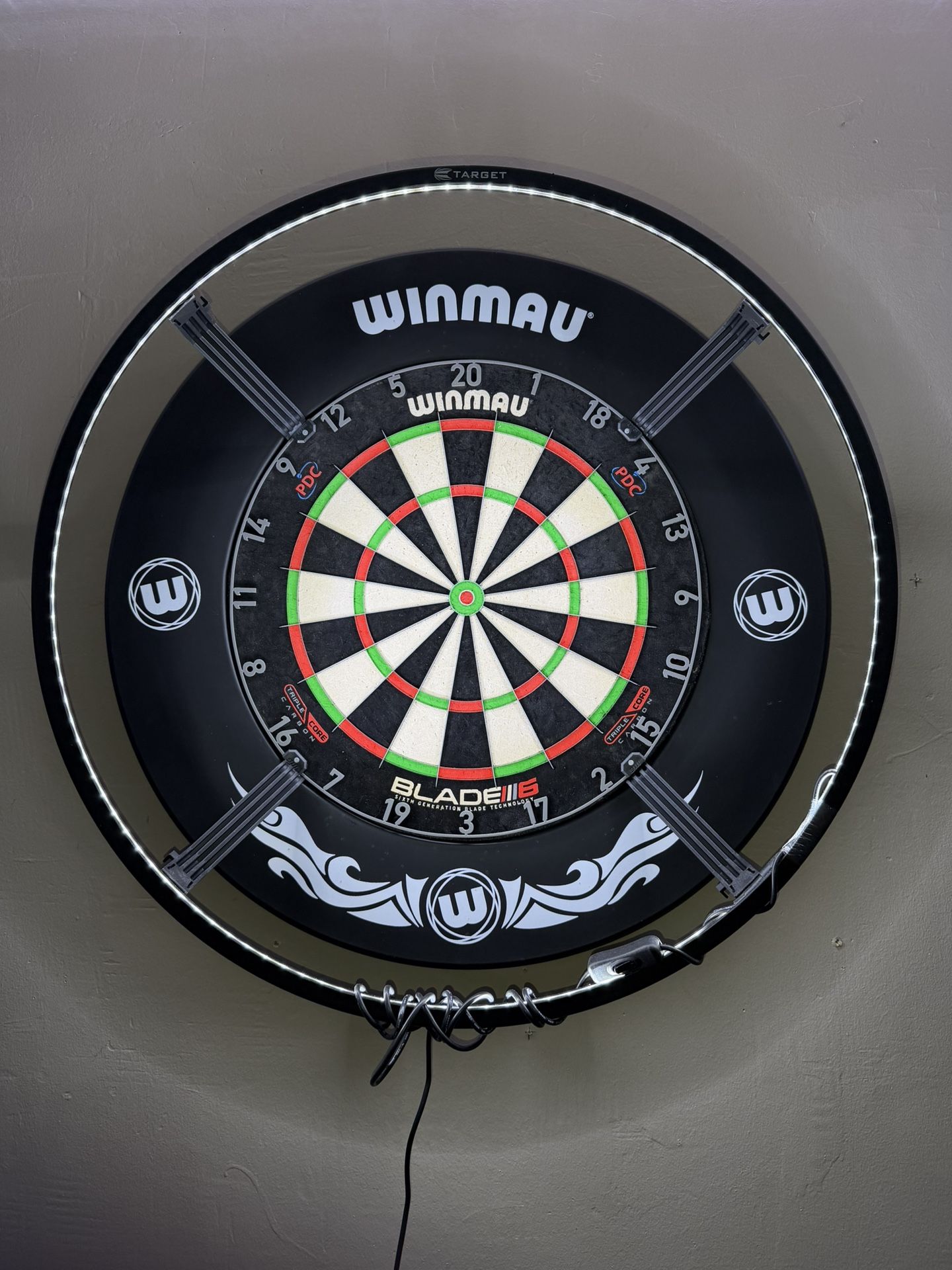 Professional Dartboard Set (Board, Lighting, Surround, Darts)